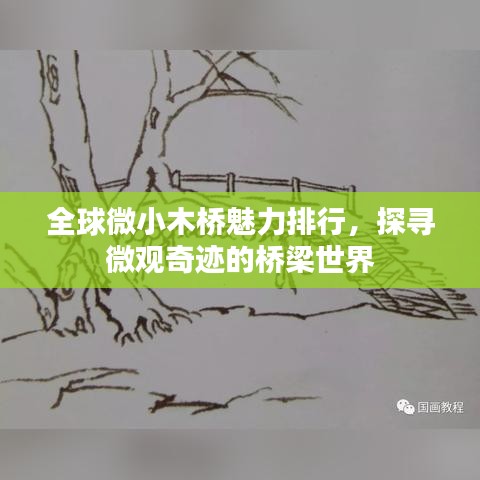 全球微小木桥魅力排行，探寻微观奇迹的桥梁世界