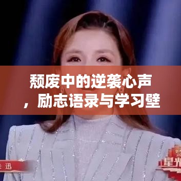 颓废中的逆袭心声，励志语录与学习壁纸鼓舞人心