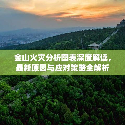 金山火灾分析图表深度解读，最新原因与应对策略全解析