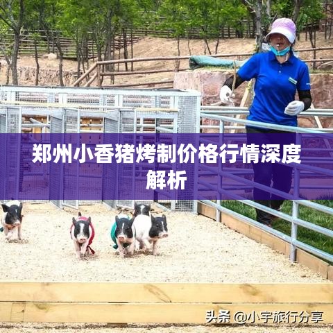 郑州小香猪烤制价格行情深度解析