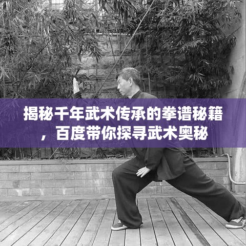 揭秘千年武术传承的拳谱秘籍，百度带你探寻武术奥秘