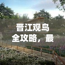 晋江观鸟全攻略，最新指南与深度体验分享