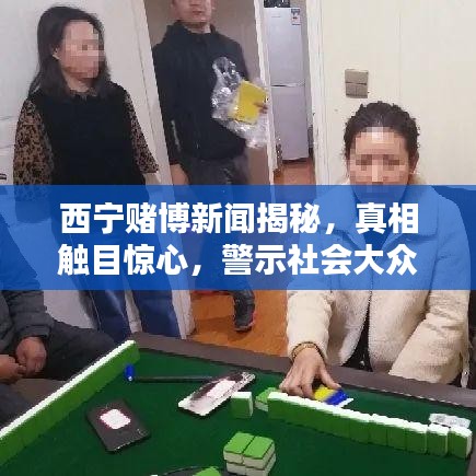 西宁赌博新闻揭秘，真相触目惊心，警示社会大众警惕赌博危害