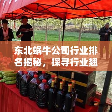 东北蜗牛公司行业排名揭秘，探寻行业翘楚的奥秘！