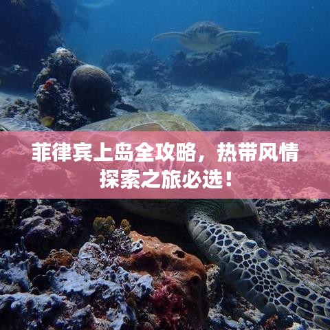 菲律宾上岛全攻略，热带风情探索之旅必选！