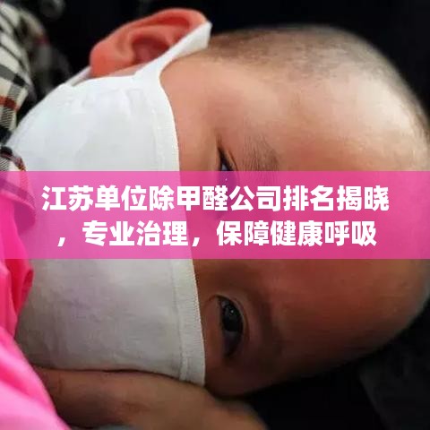 江苏单位除甲醛公司排名揭晓，专业治理，保障健康呼吸