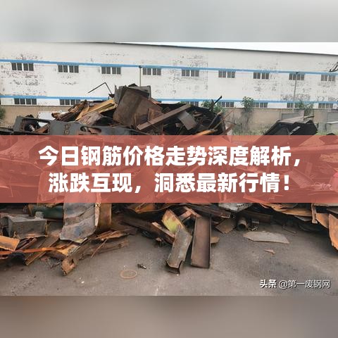 今日钢筋价格走势深度解析，涨跌互现，洞悉最新行情！