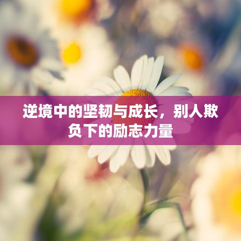 逆境中的坚韧与成长，别人欺负下的励志力量