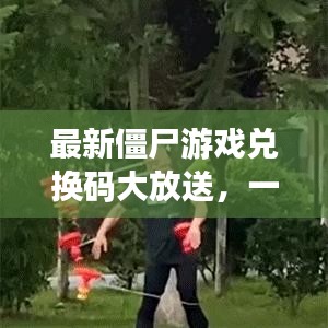 最新僵尸游戏兑换码大放送，一网打尽，游戏狂欢尽享无阻！