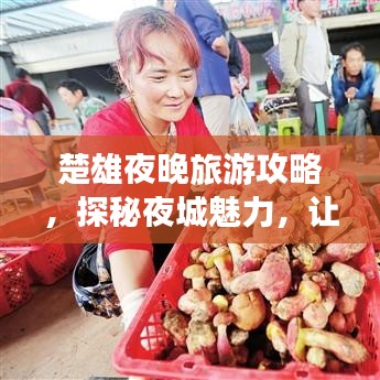 楚雄夜晚旅游攻略，探秘夜城魅力，让你流连忘返！