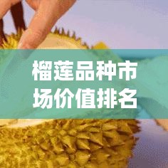 榴莲品种市场价值排名TOP10，掌握不同品种榴莲的价格与价值解析