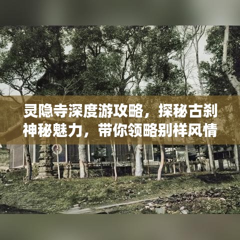 灵隐寺深度游攻略，探秘古刹神秘魅力，带你领略别样风情！