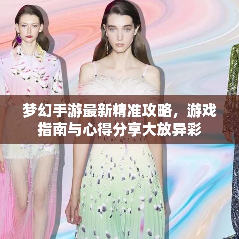 梦幻手游最新精准攻略，游戏指南与心得分享大放异彩
