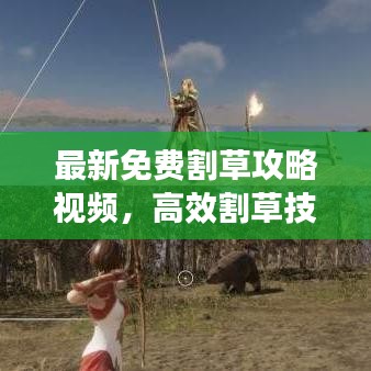最新免费割草攻略视频，高效割草技巧独家揭秘！