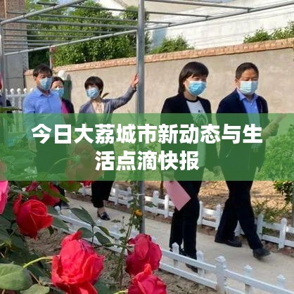 今日大荔城市新动态与生活点滴快报