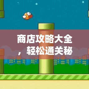 商店攻略大全，轻松通关秘籍，最新指南助你顺利过关！