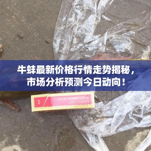 牛蚌最新价格行情走势揭秘，市场分析预测今日动向！