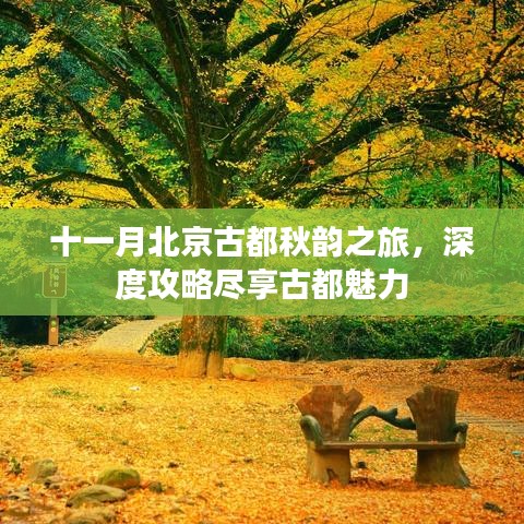 十一月北京古都秋韵之旅，深度攻略尽享古都魅力
