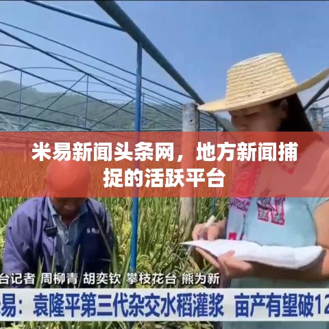 米易新闻头条网，地方新闻捕捉的活跃平台