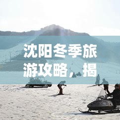 沈阳冬季旅游攻略，揭秘独特魅力！