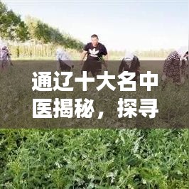 通辽十大名中医揭秘，探寻中医文化的魅力与瑰宝