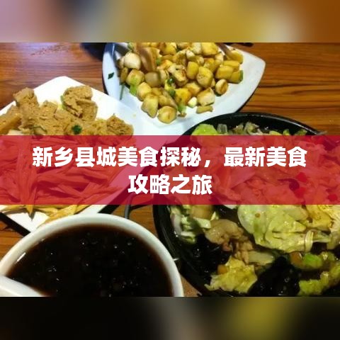 新乡县城美食探秘，最新美食攻略之旅