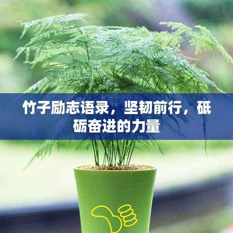 竹子励志语录，坚韧前行，砥砺奋进的力量