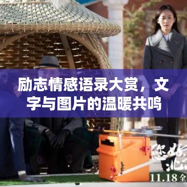 励志情感语录大赏，文字与图片的温暖共鸣