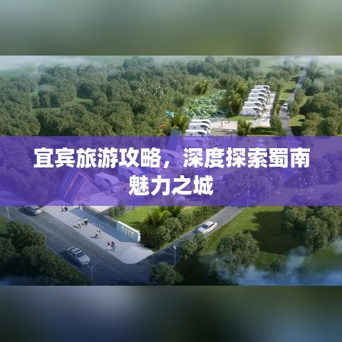 2025年6月30日 第5页