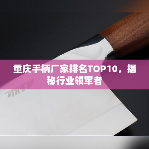 重庆手柄厂家排名TOP10，揭秘行业领军者