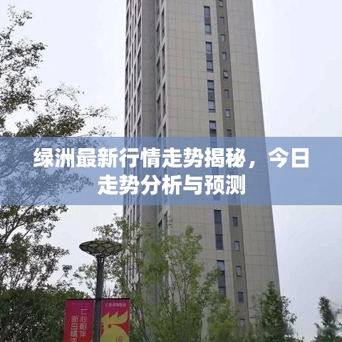 绿洲最新行情走势揭秘，今日走势分析与预测