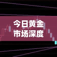 今日黄金市场深度解析，直播回放揭秘黄金走势与市场动态