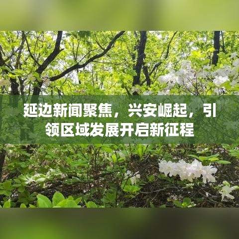 延边新闻聚焦，兴安崛起，引领区域发展开启新征程
