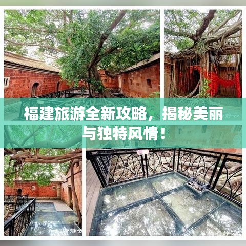 福建旅游全新攻略，揭秘美丽与独特风情！