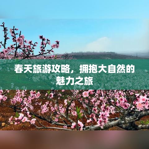 春天旅游攻略，拥抱大自然的魅力之旅